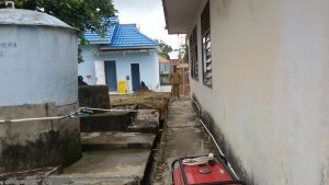 Anjing Gila Berkeliaran, Warga Sukajadi Resah