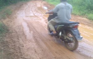 Jalan Penghubung Sidang Emas-Rimba Alai Rusak Berat