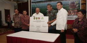 BPDP Beri Bantuan Dana Untuk Peremajaan Lahan Sawit