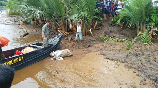 Warga Muara Sugihan Dihebohkan Oleh Penemuan Mayat Laki-Laki dan Perempuan Dalam Karung