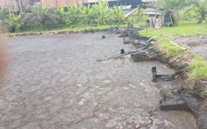 Izin Operasi PT. Karya Sawit Lestari Kembali Dibekukan