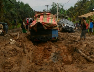Jalan Kecamatan Pulau Rimau Belum di Perbaiki