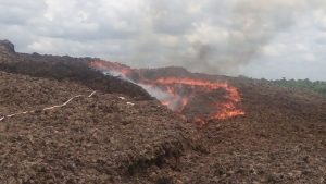 Diduga Kelalaian PT. Andira Agro Sebabkan Kebakaran Lahan Meluas