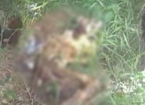 Mayat Mr X di temukan di Jalan TAA