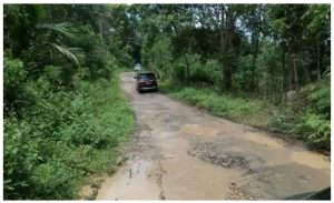 Terlihat Memprihatinkan, Kondisi Jalan Penghubung Desa Tualang Ke Desa Bunga Tanjung Kecamatan Lengkiti