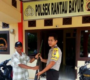 Kadus III Tebing Abang Serahkan Senjata Api Rakitan Ke Polsek Rantau Bayur