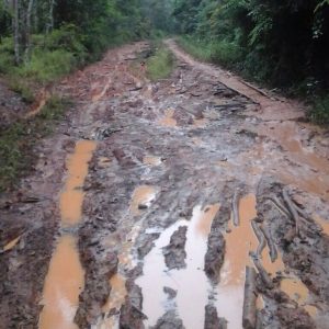 Jalan Penghubung Desa Pandan – Bengkuang Banyuasin Lumpuh Total