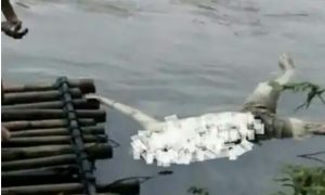 Edi, Temukan Mayat Tak Utuh Lagi