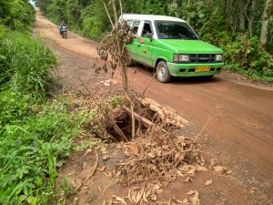 Sangat Prihatinkan, Kondisi Desa Tanjung Beringin Rusak Parah