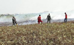 Tujuh Kecamatan Berhasil Dipadamkan