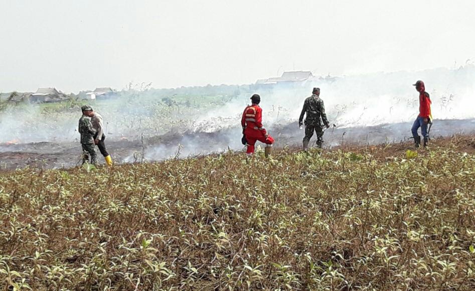 Tujuh Kecamatan Berhasil Dipadamkan