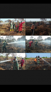 17 Hektar Kebakaran Lahan Di Jambi Berhasil Dicegah Satgas Karhutla