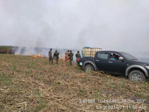 Lima Helly Water Booming Dikerahkan Cegah Kebakaran Lahan