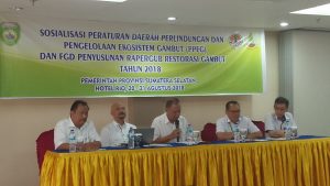 Sumsel Pimpin Pengelolaan Ekosistem Lahan Gambut.