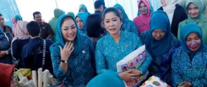 Ketua TP PKK OKU Selatan Sambut Kunjungan Ketua TP PKK Prov. Sumsel