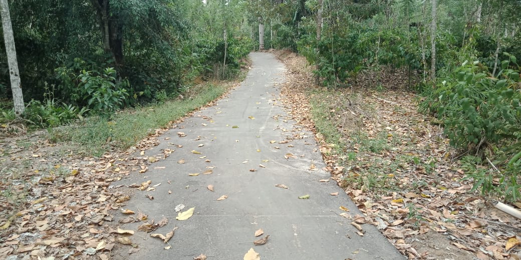 Pembangunan Desa Banding Agung