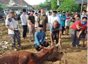 Polres Lahat Berkurban 11 Sapi dan 8 Kambing