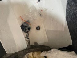 Petugas Lapas Lubuklinggau amankan pengunjung yang bawa kristal putih diduga narkoba