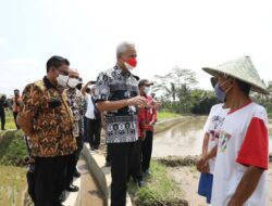 Berpengalaman di Jateng, rencana konkret Ganjar jadikan Indonesia lumbung pangan dinantikan