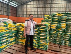 Isu Kelangkaan dan Mahal nya Harga Beras, Bareskrim Mabes Polri Turunkan Tim Satgas Pangan ke sumsel