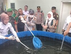 Sukseskan Program Ketahanan Pangan Kodim 0405 Lahat Panen  perdana Ikan Patin