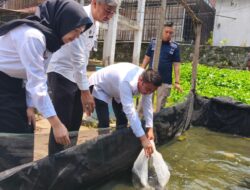 Dukung Ketahanan Pangan, Rutan Baturaja Tebar 4.000 Bibit Ikan Lele