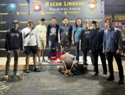 Residivis 8 Kali Keluar Masuk Penjara Diciduk Tim Macan Linggau saat Ops Pekat 2026