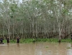 Tak Pulang Usai Nyadap Karet, Warga OKI Ditemukan Tewas di Rawa Kebun