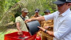 PTBA Dampingi Petani Kopi Sawahlunto Panen dan Ciptakan Nilai Tambah