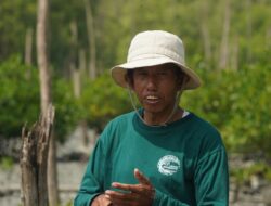 Kisah Masyarakat Pasir Sakti: Dulu Terkikis Abrasi, Kini Tumbuh Mangrove yang Menghidupi