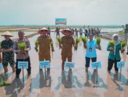 Bupati Ogan Ilir Ikuti Gerakan Tanam Nasional, Dukung Ketahanan Pangan Hadapi Dampak El Nino