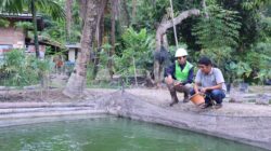 Program Desa Impian Antarkan PTBA Raih Penghargaan Internasional