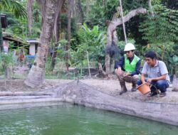 Program Desa Impian Antarkan PTBA Raih Penghargaan Internasional